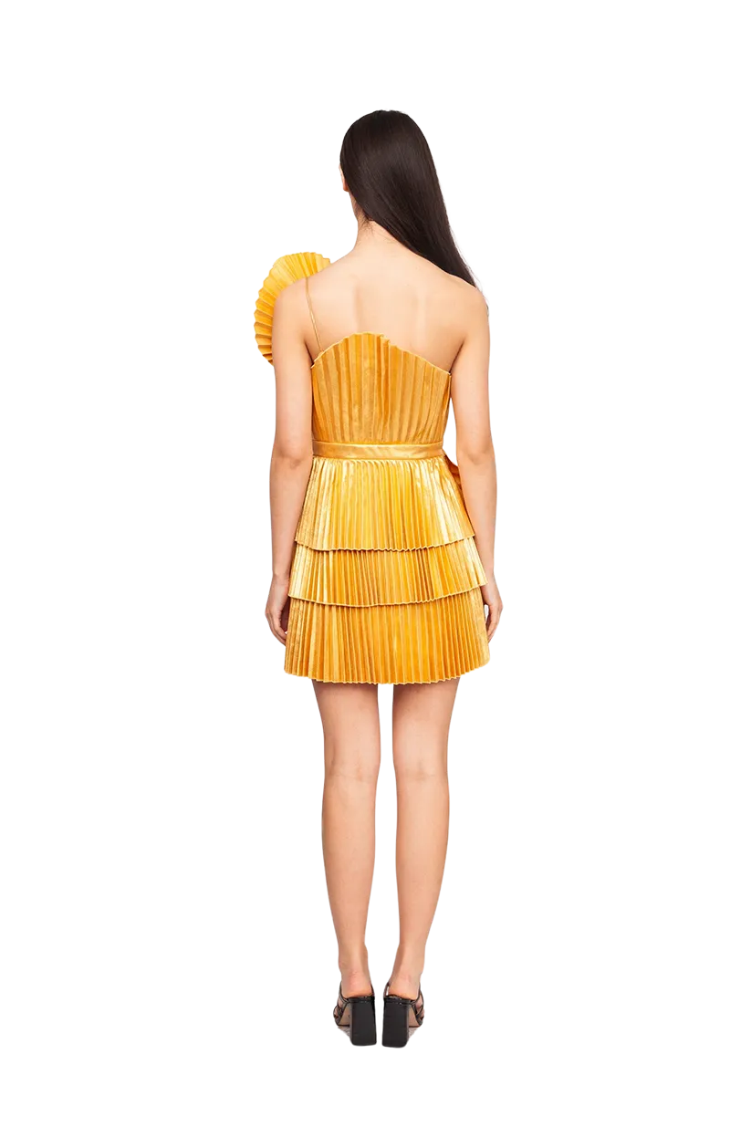 Abbotsford Mini Dress