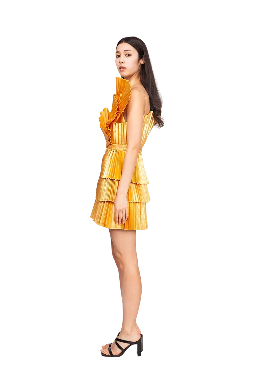 Abbotsford Mini Dress