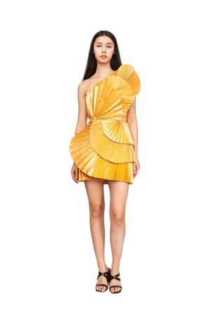 Abbotsford Mini Dress