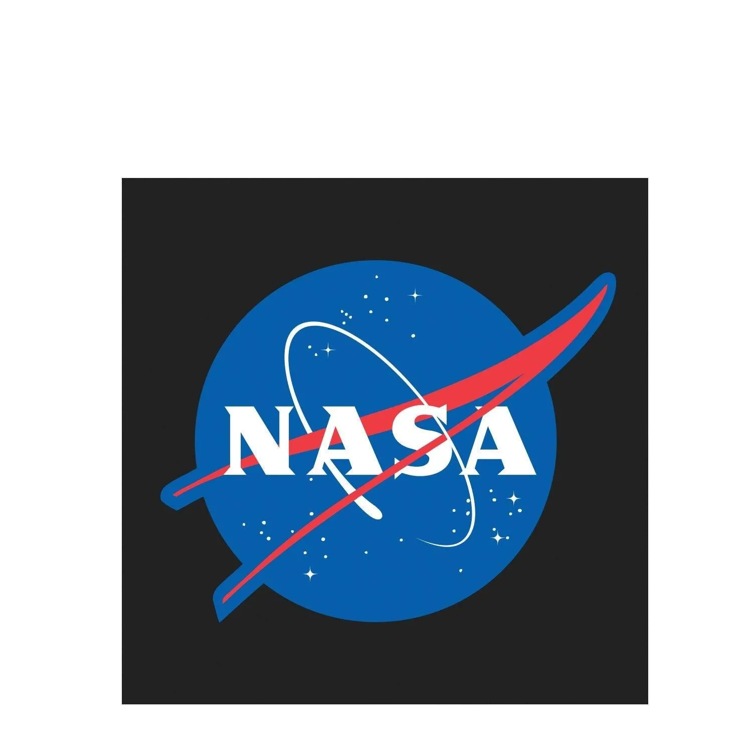Authentic NASA Logo Shirt