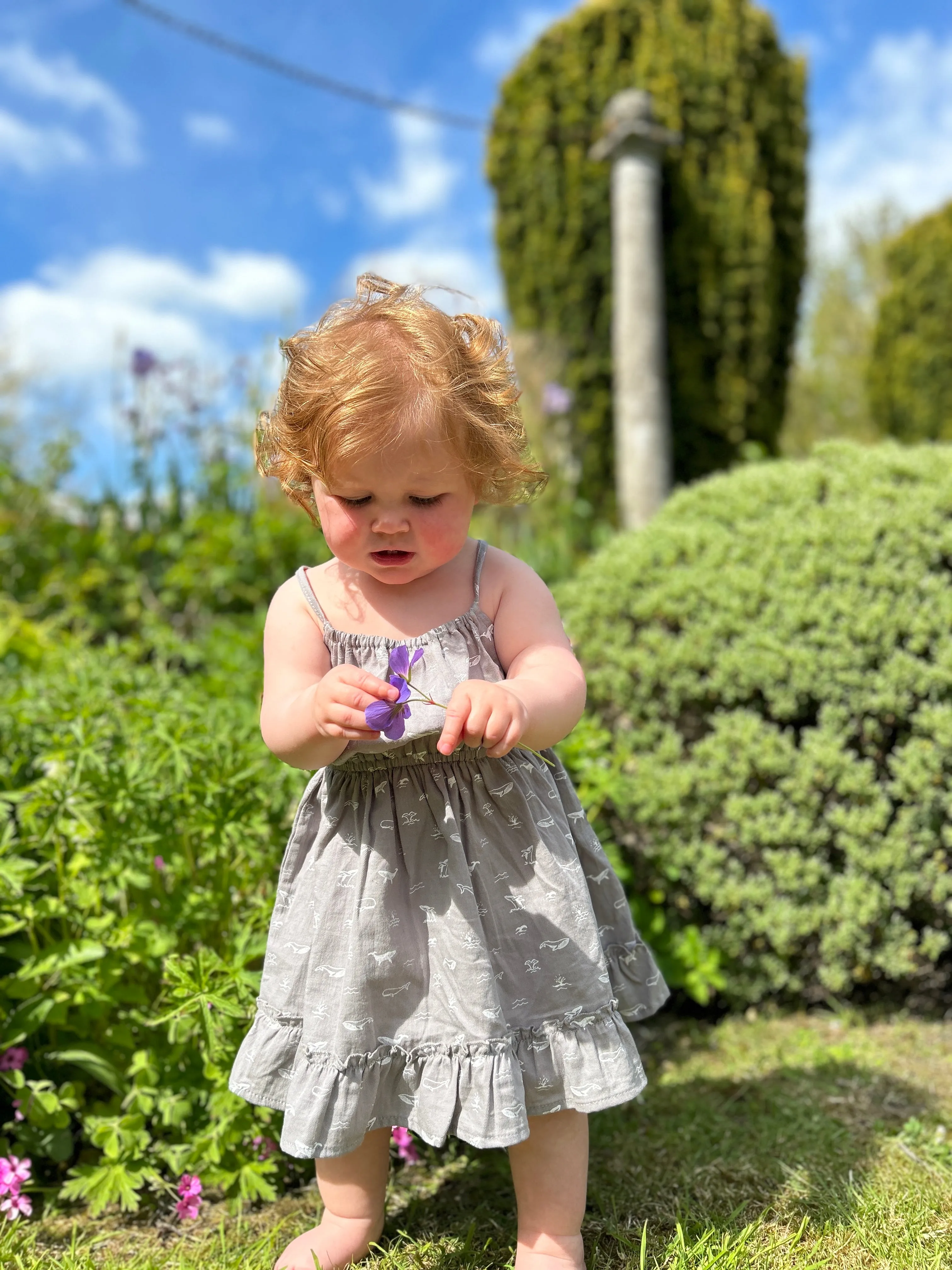 Lizzy Dress in Grey Whales