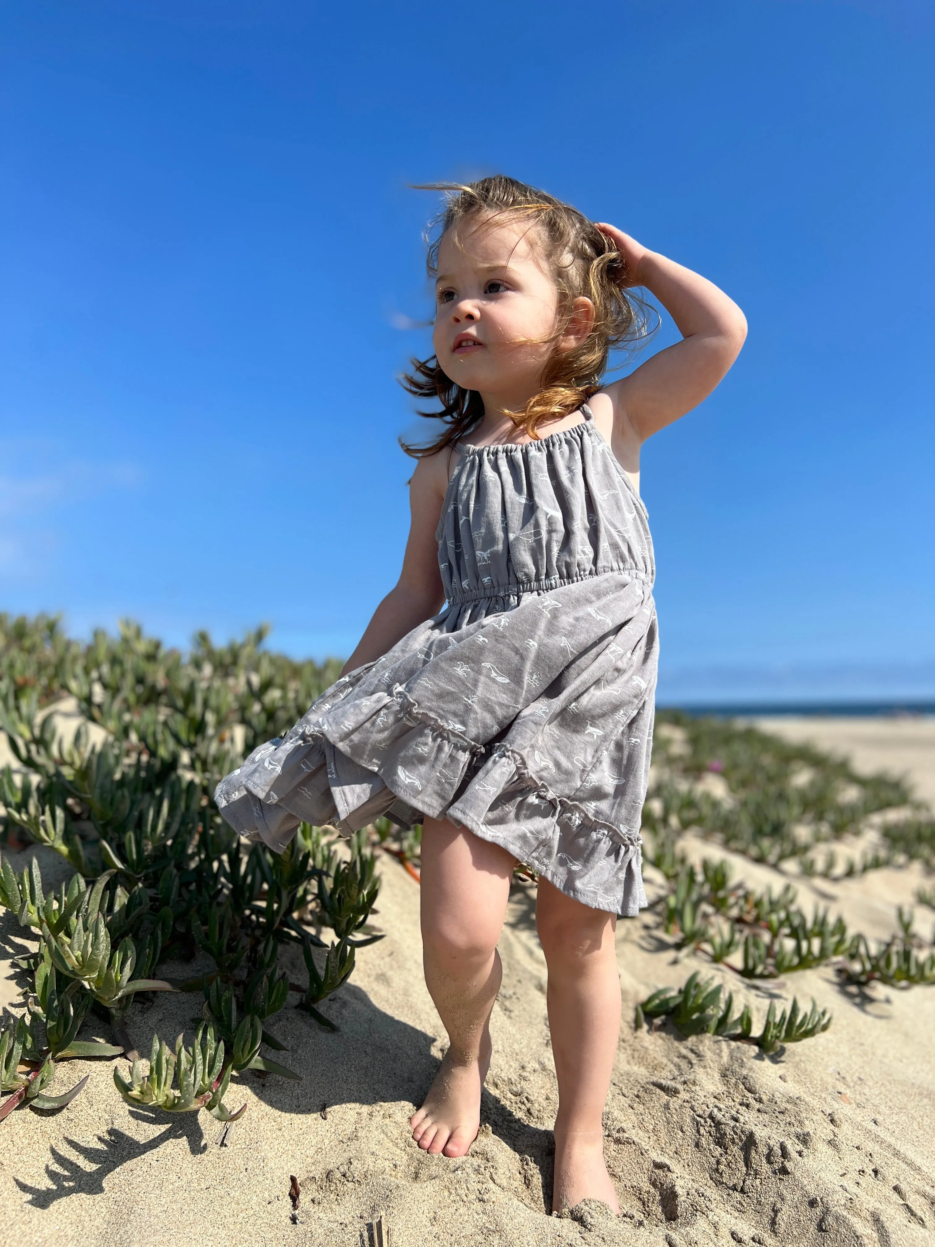 Lizzy Dress in Grey Whales