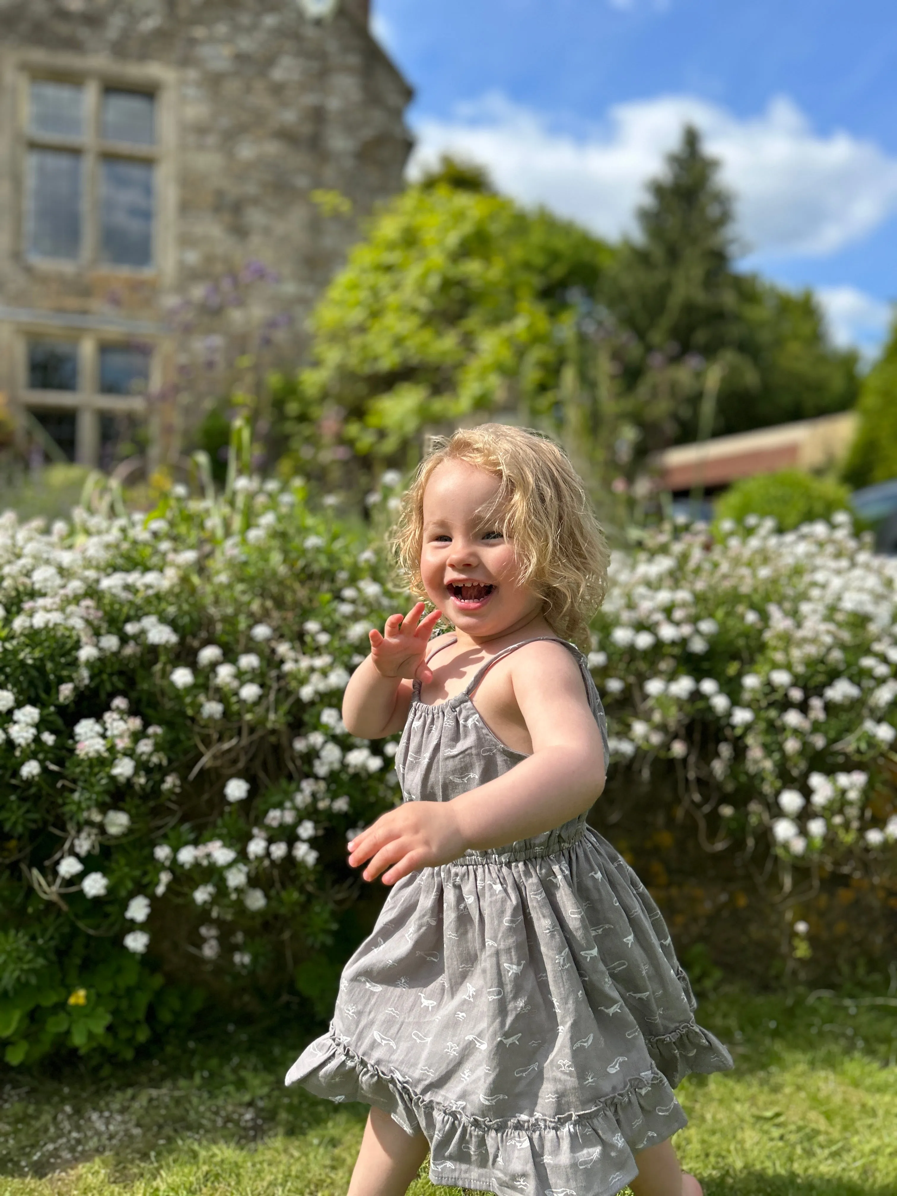 Lizzy Dress in Grey Whales