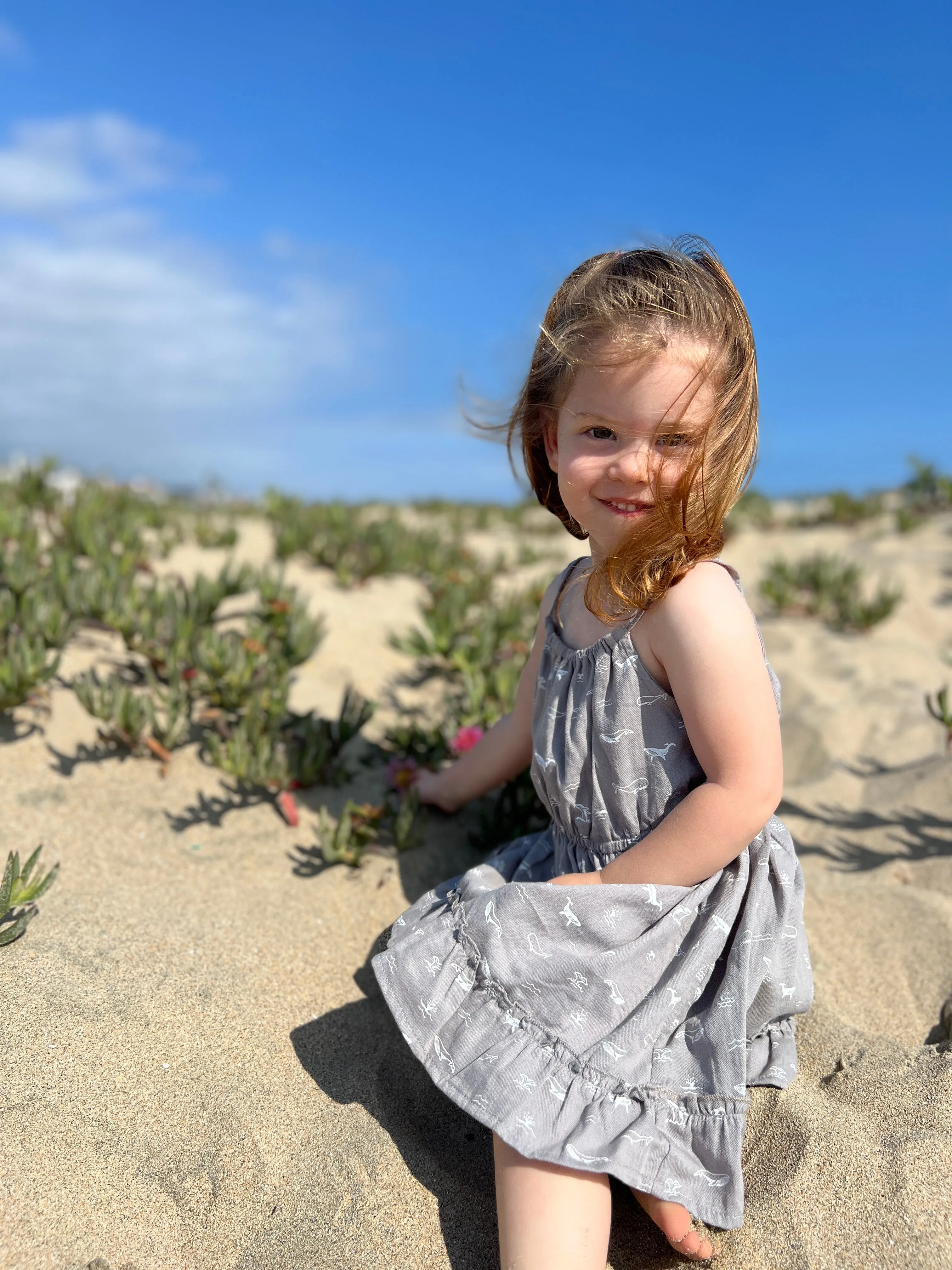 Lizzy Dress in Grey Whales
