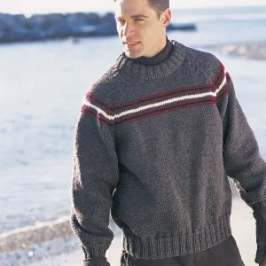 Patons Knit Simple Stripe Raglan