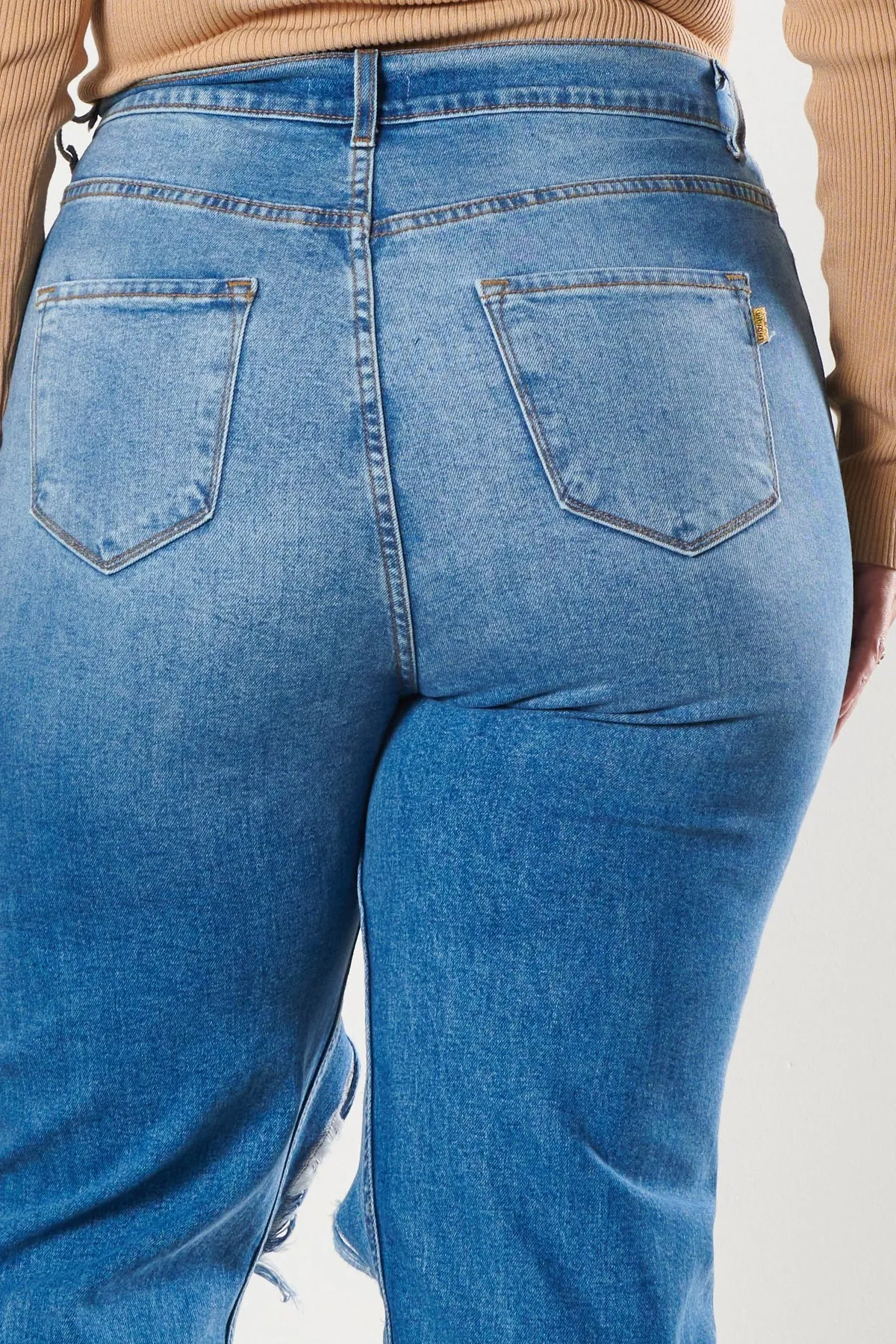 PLUS Distressed Vintage Tint Mom Jeans
